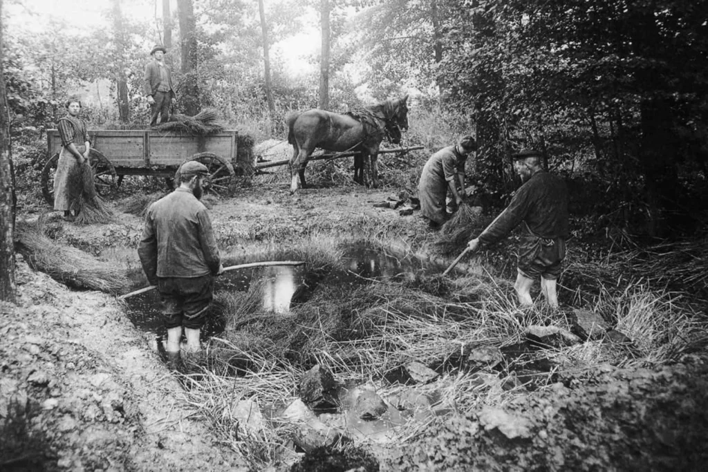 Flachsrotte in Kohlstaett Berta in Burlo